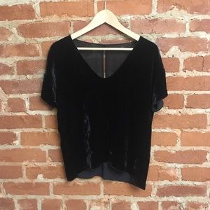 Aritzia | Babaton Velvet + Silk V-Neck Blouse